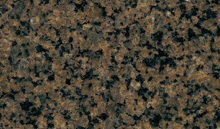 Tropical Brown